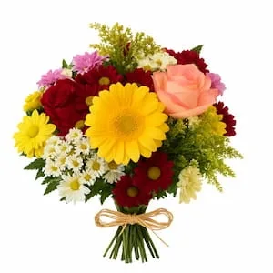 Festa das Flores