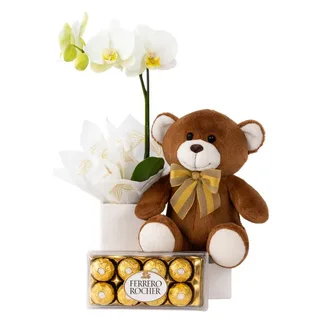 Orquídea Branca com Urso de Pelúcia e Caixa Ferrero Rocher