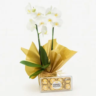 Orquídea Phalaenopsis Branca e Caixa de Ferrero Rocher