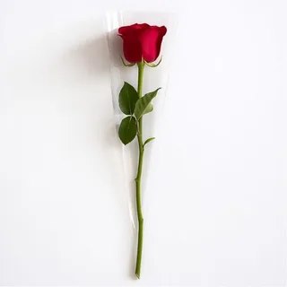 Solitário de Rosa Nacional – O amor é simples!