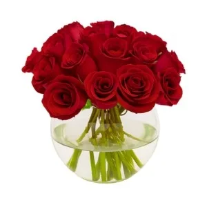 Arranjo de 20 Rosas Vermelha no Vaso