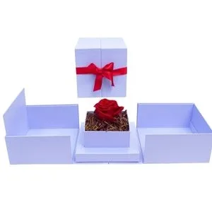 Rosa Preservada na Caixa Box