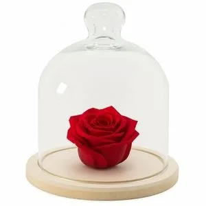 Rosa Preservada