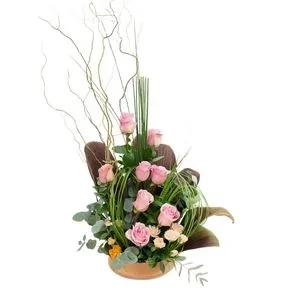 Delicadeza