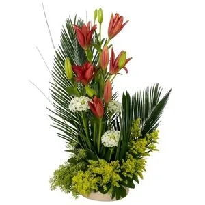 Floresta