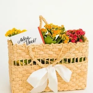 Mini Jardim com 3 Kalanchoes Coloridos