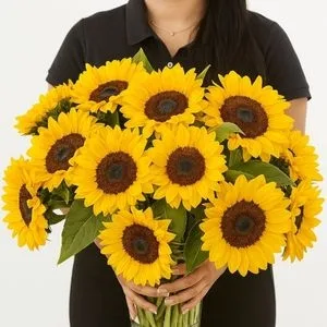 Raio de Sol
