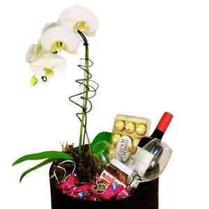 Box de Orquídea, Vinho e Chocolate