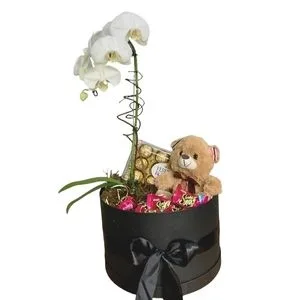 Box Orquídea com Ursinho