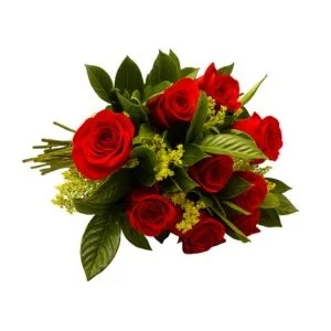 Buquê de 9 Rosas Vermelhas