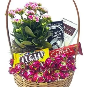 Cesta de Chocolates