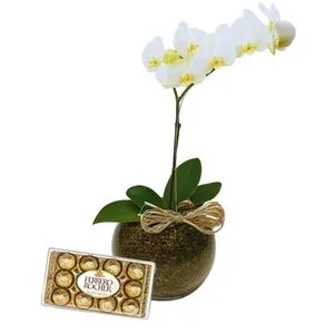 Ferrero Rocher e Phalaenópsis Luxo