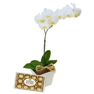 Orquídea Phalaenopsis Branca com Ferrero Rocher