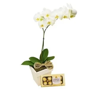 Phalaenópsis e Ferrero Rocher 8 un