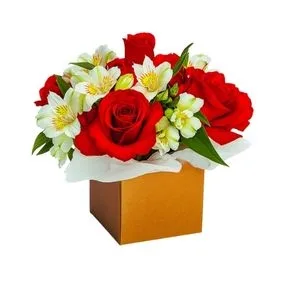 Surpresa das Rosas Nacionais