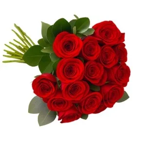 Buquê com 15 Rosas Vermelha