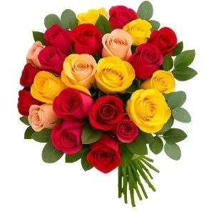 Buquê com 24 Rosas Colorida