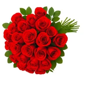 Buquê com 24 Rosas Vermelha