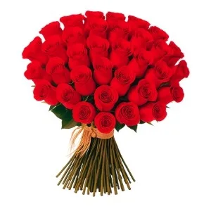 Buquê de 36 Rosas Vermelha