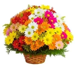 Cesta de Flores do Campo
