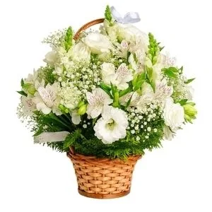 Cesta de Flores Nobile Blanc