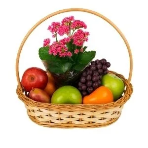 Cesta de Frutas Feliz dia pra você com Flores!