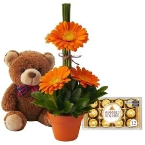 Ikebana de Gérberas e Ferrero Rocher e Urso de Pelúcia