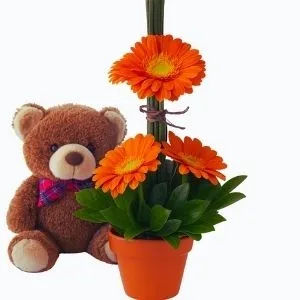 Ikebana de Gérberas e Urso de Pelúcia