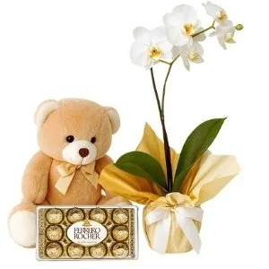 Orquídea Phalaenopsis Branca com Bombons e Pelúcia