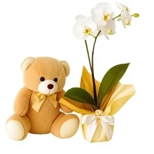 Orquídea Phalaenopsis Branca com Pelúcia