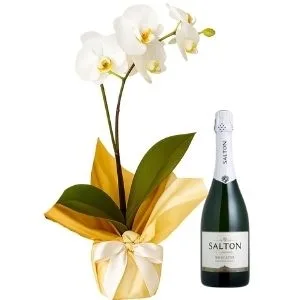 Orquídea Phalaenopsis Branca e Espumante