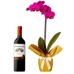 Orquídea Phalaenopsis Lilás com Vinho Tinto