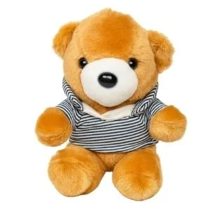 Urso de Pelúcia Pequeno