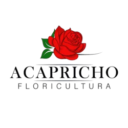Logo da vitrine A Capricho