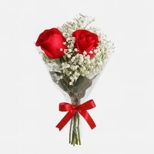 Buquê com 2 Rosas Vermelhas e Mosquitinho