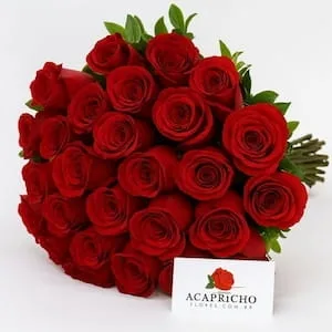 Buquê de 30 Rosas Vermelhas