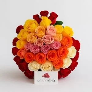 Buquê de 48 Rosas Coloridas Variadas