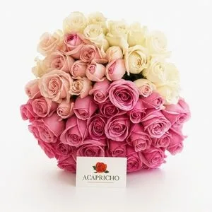 Buquê Degradê Rosado com 36 Rosas