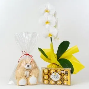 Orquídea Branca com Pelúcia e Ferrero Rocher