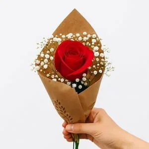 Rosa Vermelha com Gipsofila no Papel Kraft