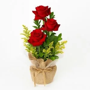 Arranjo de Rosas Vermelhas no Cachepô de Juta
