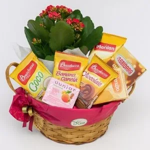 Cesta Presente com Mini Calandiva e Variedade de Bebidas e Biscoitos
