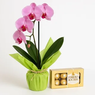 Orquídea Lilás Phalaenopsis com Caixa de Bombons Ferrero Rocher