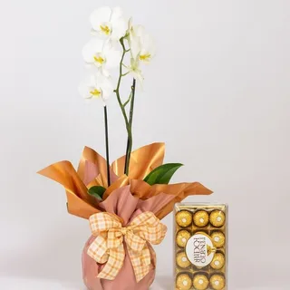 Orquídea Phalaenopsis Branca e Ferrero Rocher