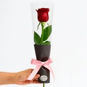Rosa Vermelha Única no Tubo com Embalagem Elegante
