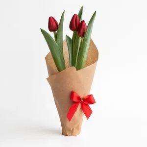 Tulipa Vermelha