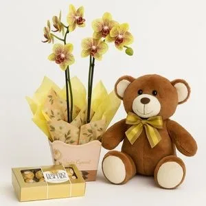 Orquídea Amarela com Urso de Pelúcia e Caixa de Ferrero Rocher