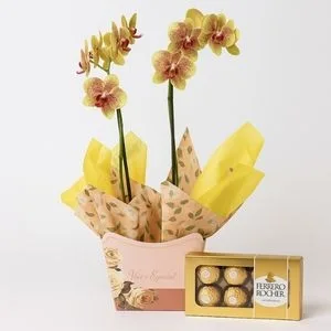 Orquídea Amarela Phalaenopsis com Caixa de Bombons Ferrero Rocher