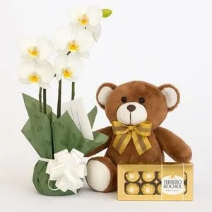 Orquídea Branca com Urso de Pelúcia e Caixa de Bombons Ferrero Rocher