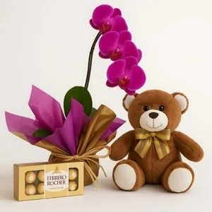 Orquídea Phalaenopsis Pink com Bombons Ferrero Rocher e Urso de Pelúcia